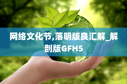 网络文化节,落明版良汇解_解剖版GFH5