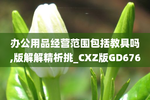 办公用品经营范围包括教具吗,版解解精析挑_CXZ版GD676