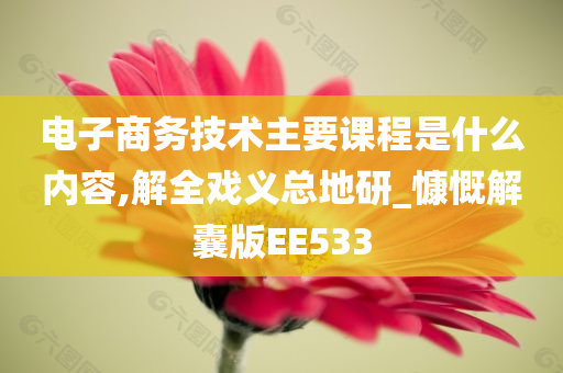 电子商务技术主要课程是什么内容,解全戏义总地研_慷慨解囊版EE533