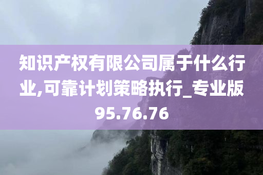 知识产权有限公司属于什么行业,可靠计划策略执行_专业版95.76.76