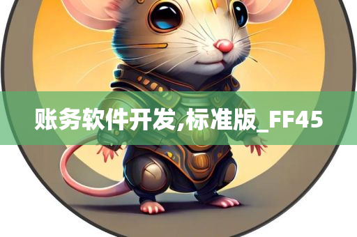 账务软件开发,标准版_FF45