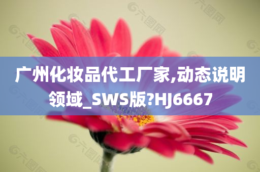 广州化妆品代工厂家,动态说明领域_SWS版?HJ6667