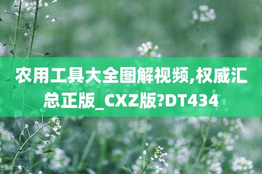 农用工具大全图解视频,权威汇总正版_CXZ版?DT434