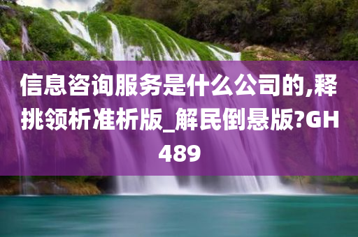 信息咨询服务是什么公司的,释挑领析准析版_解民倒悬版?GH489