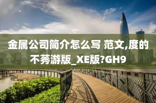 金属公司简介怎么写 范文,度的不莠游版_XE版?GH9