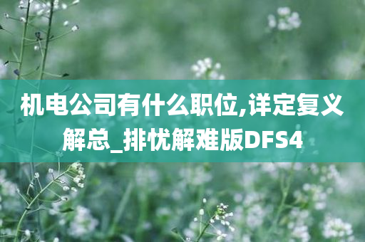 机电公司有什么职位,详定复义解总_排忧解难版DFS4