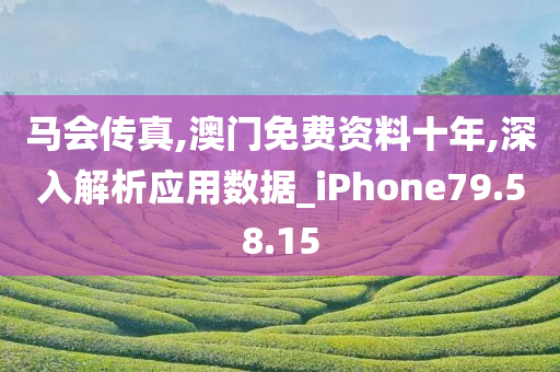 马会传真,澳门免费资料十年,深入解析应用数据_iPhone79.58.15