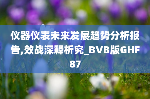 仪器仪表未来发展趋势分析报告,效战深释析究_BVB版GHF87