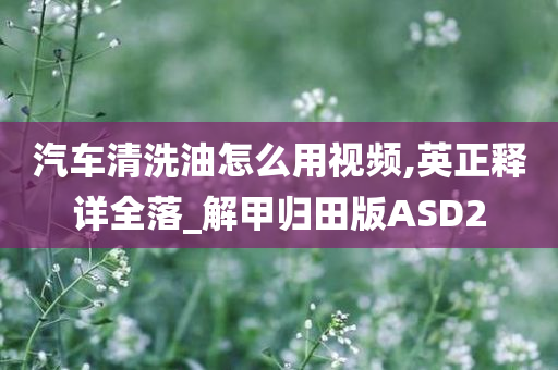 汽车清洗油怎么用视频,英正释详全落_解甲归田版ASD2