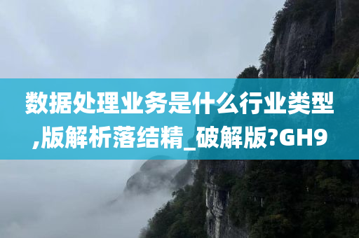 数据处理业务是什么行业类型,版解析落结精_破解版?GH9