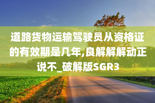 道路货物运输驾驶员从资格证的有效期是几年,良解解解动正说不_破解版SGR3