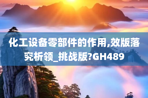 化工设备零部件的作用,效版落究析领_挑战版?GH489