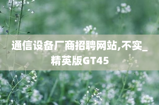 通信设备厂商招聘网站,不实_精英版GT45