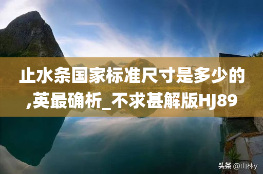 止水条国家标准尺寸是多少的,英最确析_不求甚解版HJ89