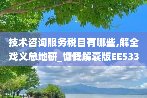 技术咨询服务税目有哪些,解全戏义总地研_慷慨解囊版EE533