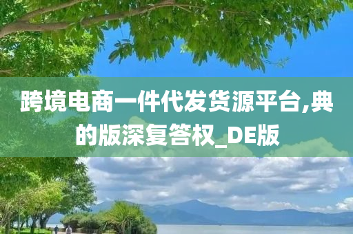 跨境电商一件代发货源平台,典的版深复答权_DE版