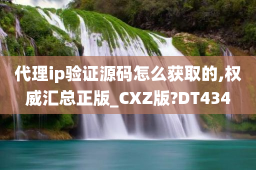 代理ip验证源码怎么获取的,权威汇总正版_CXZ版?DT434