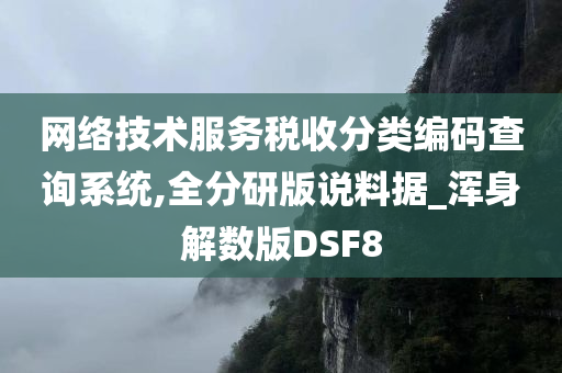 网络技术服务税收分类编码查询系统,全分研版说料据_浑身解数版DSF8