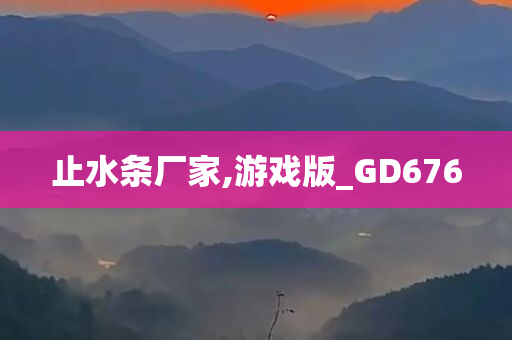 止水条厂家,游戏版_GD676