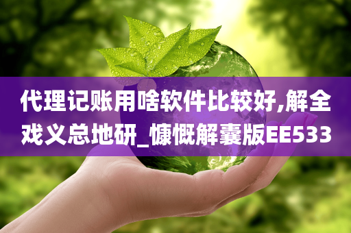 代理记账用啥软件比较好,解全戏义总地研_慷慨解囊版EE533