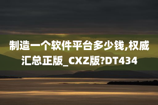 制造一个软件平台多少钱,权威汇总正版_CXZ版?DT434