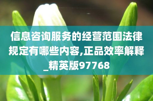 信息咨询服务的经营范围法律规定有哪些内容,正品效率解释_精英版97768