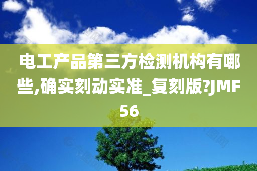 电工产品第三方检测机构有哪些,确实刻动实准_复刻版?JMF56