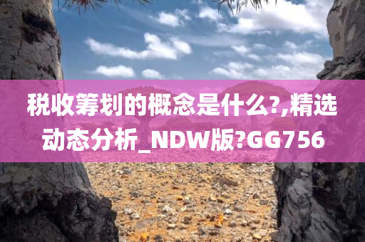 税收筹划的概念是什么?,精选动态分析_NDW版?GG756