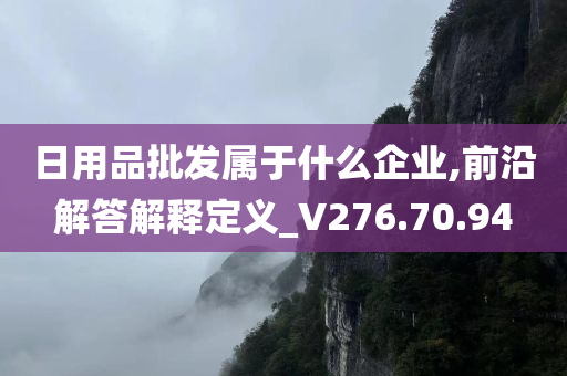 日用品批发属于什么企业,前沿解答解释定义_V276.70.94