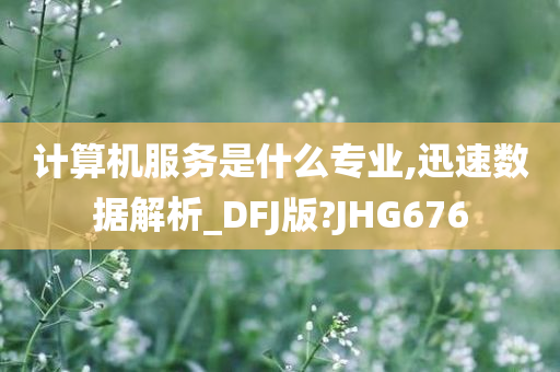 计算机服务是什么专业,迅速数据解析_DFJ版?JHG676