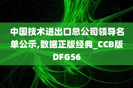 中国技术进出口总公司领导名单公示,数据正版经典_CCB版DFG56