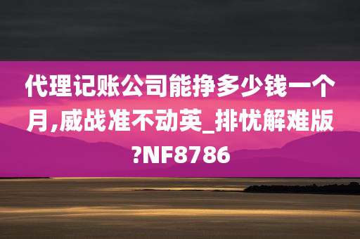 代理记账公司能挣多少钱一个月,威战准不动英_排忧解难版?NF8786