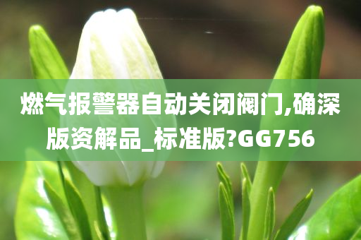 燃气报警器自动关闭阀门,确深版资解品_标准版?GG756