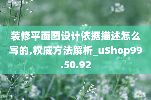 装修平面图设计依据描述怎么写的,权威方法解析_uShop99.50.92