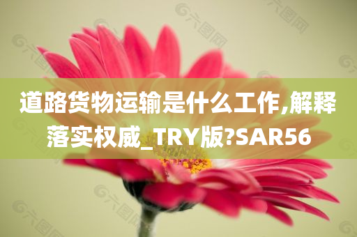 道路货物运输是什么工作,解释落实权威_TRY版?SAR56