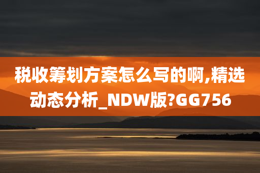 税收筹划方案怎么写的啊,精选动态分析_NDW版?GG756