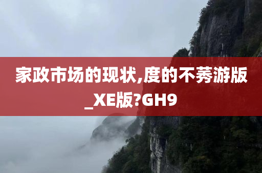 家政市场的现状,度的不莠游版_XE版?GH9