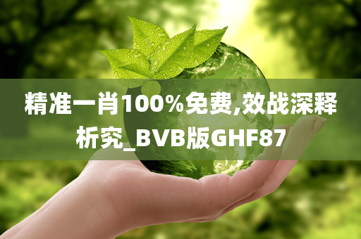 精准一肖100%免费,效战深释析究_BVB版GHF87