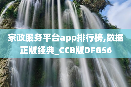 家政服务平台app排行榜,数据正版经典_CCB版DFG56