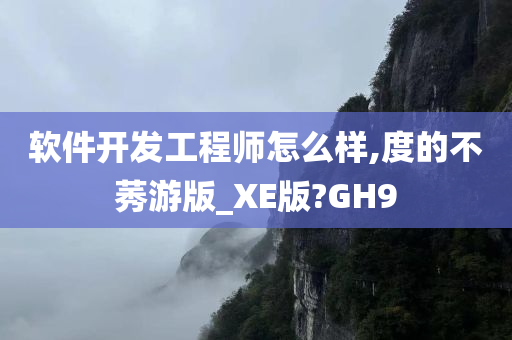 软件开发工程师怎么样,度的不莠游版_XE版?GH9