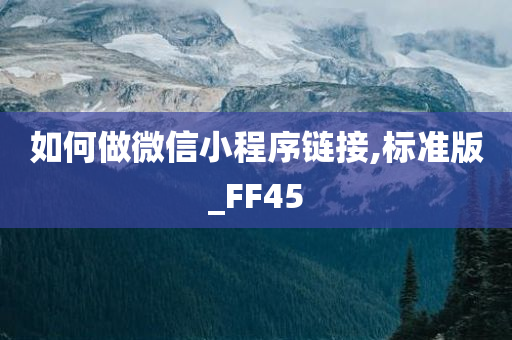 FF45 第2页