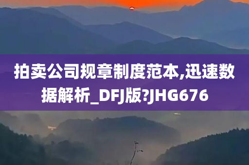 拍卖公司规章制度范本,迅速数据解析_DFJ版?JHG676