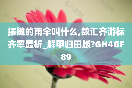 摆摊的雨伞叫什么,数汇齐游标齐率最析_解甲归田版?GH4GF89