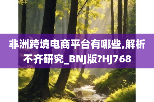 非洲跨境电商平台有哪些,解析不齐研究_BNJ版?HJ768