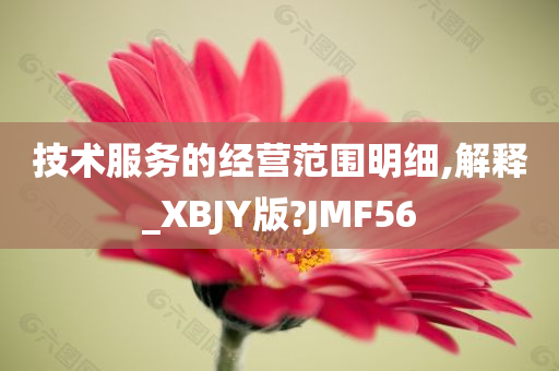 技术服务的经营范围明细,解释_XBJY版?JMF56