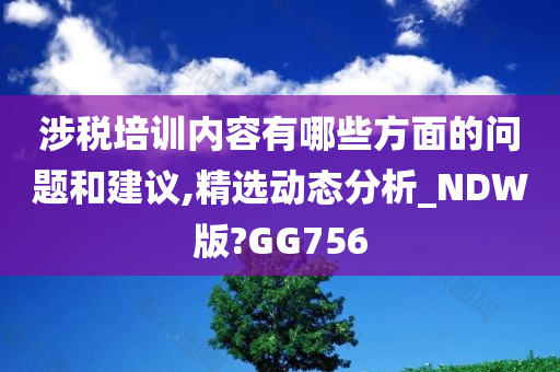 涉税培训内容有哪些方面的问题和建议,精选动态分析_NDW版?GG756