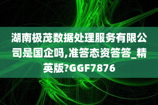 湖南极茂数据处理服务有限公司是国企吗,准答态资答答_精英版?GGF7876