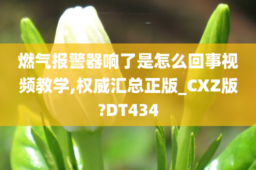 燃气报警器响了是怎么回事视频教学,权威汇总正版_CXZ版?DT434