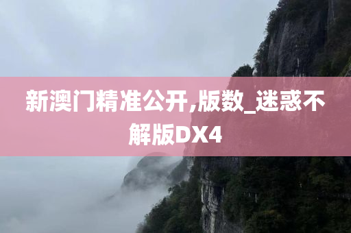 新澳门精准公开,版数_迷惑不解版DX4