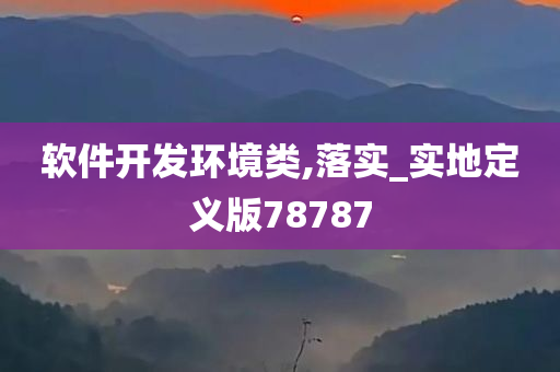 软件开发环境类,落实_实地定义版78787